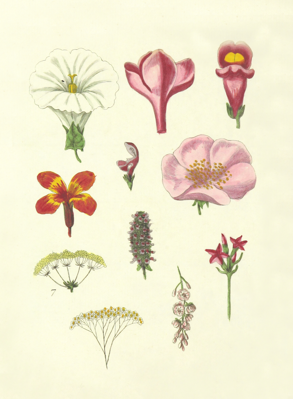 Powered by Flowers t-shirt