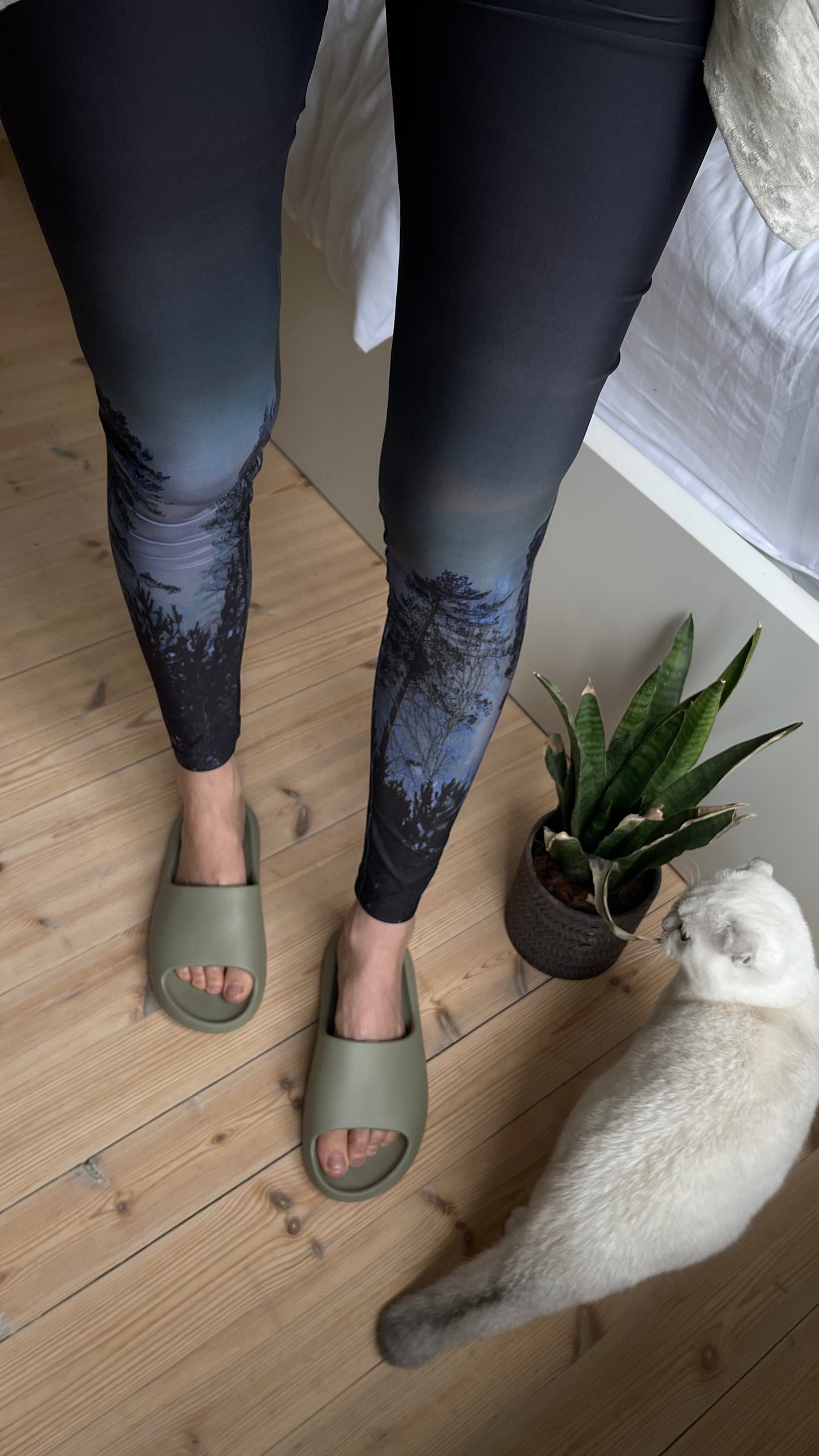 Pine Dark
