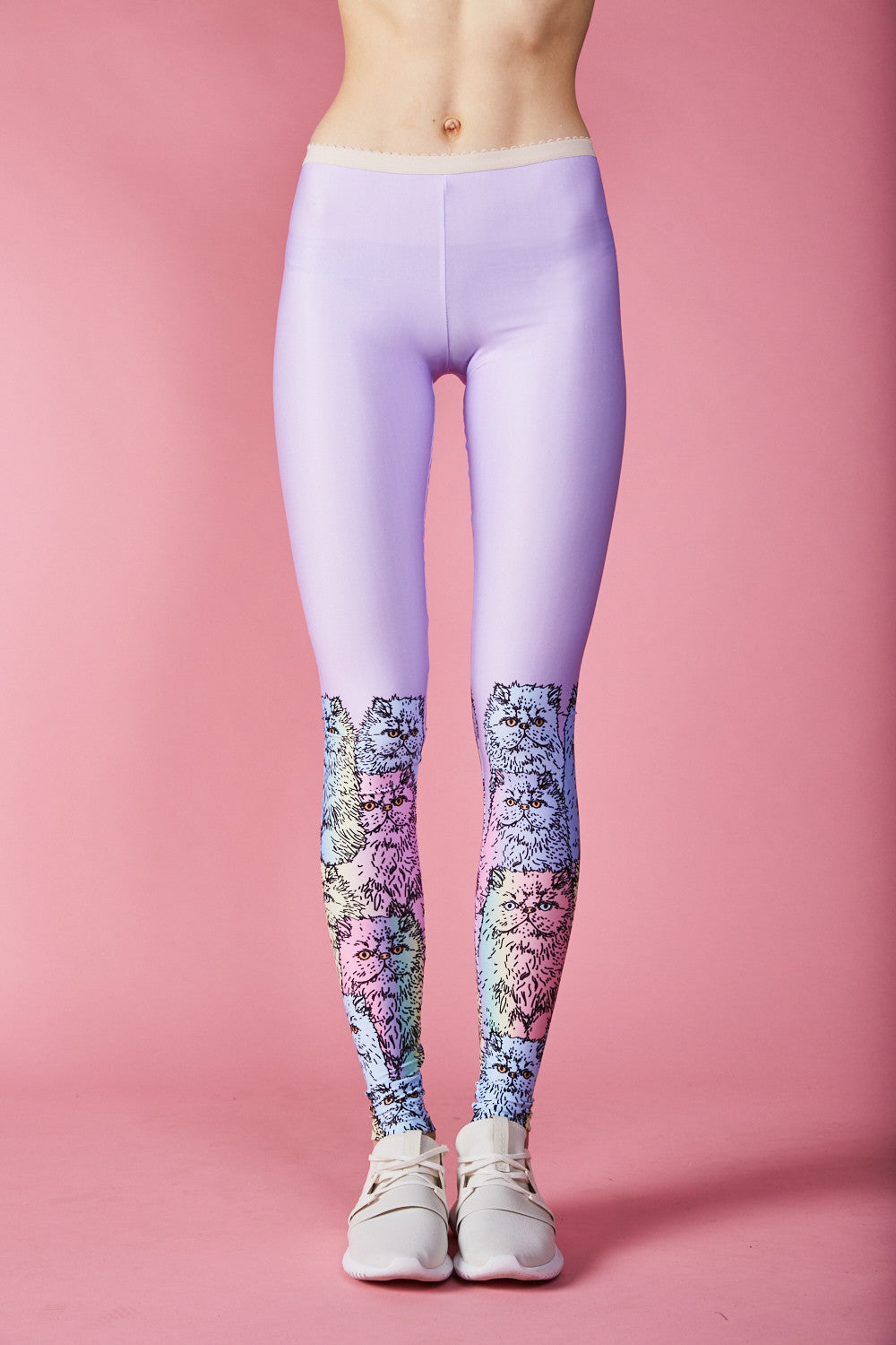 Multicat lilac