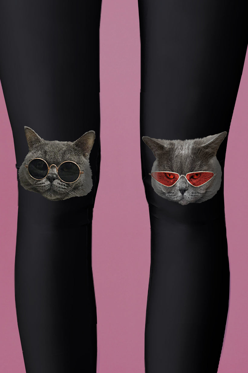 Bossy Cat