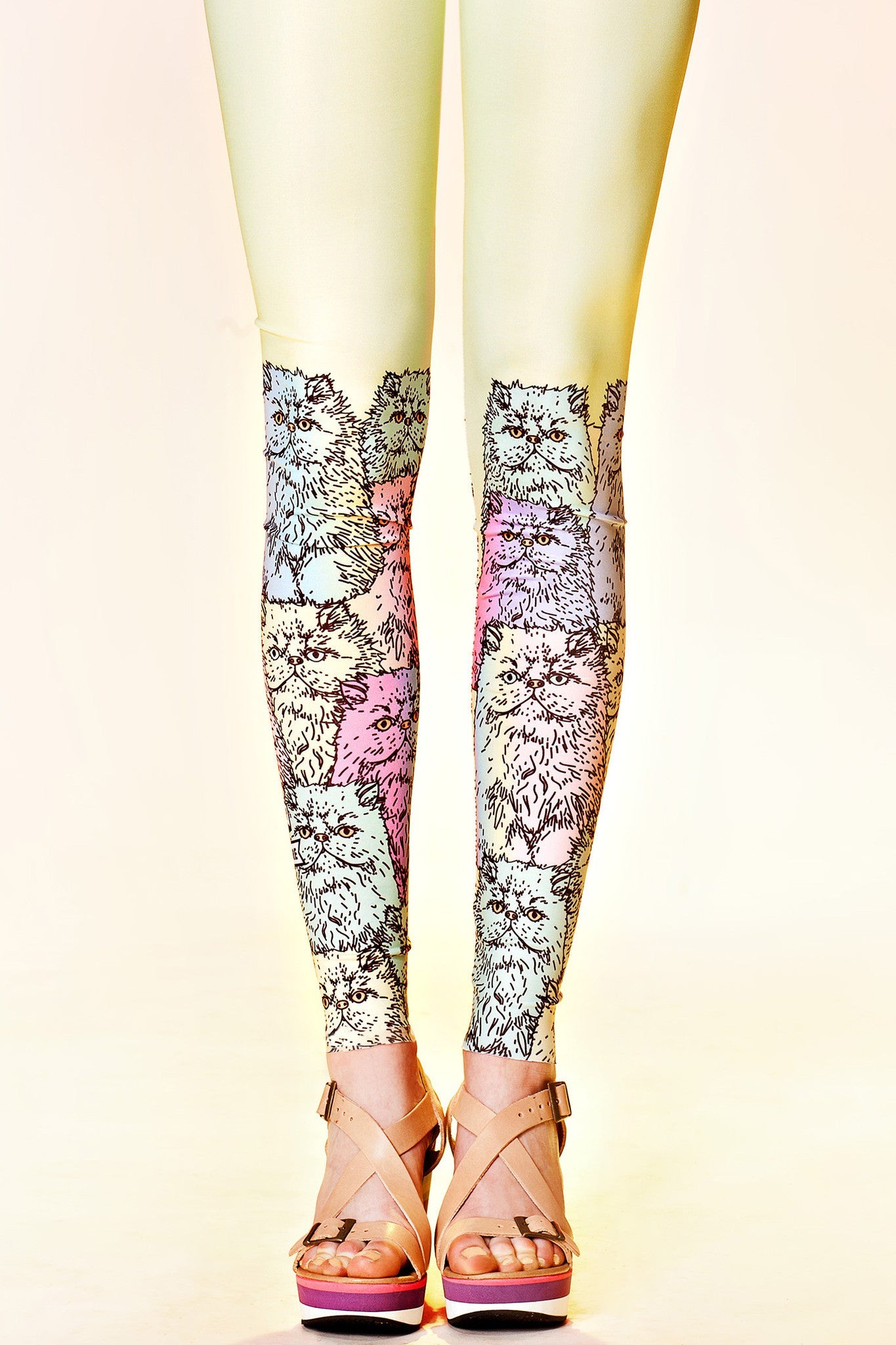 Multicat lilac