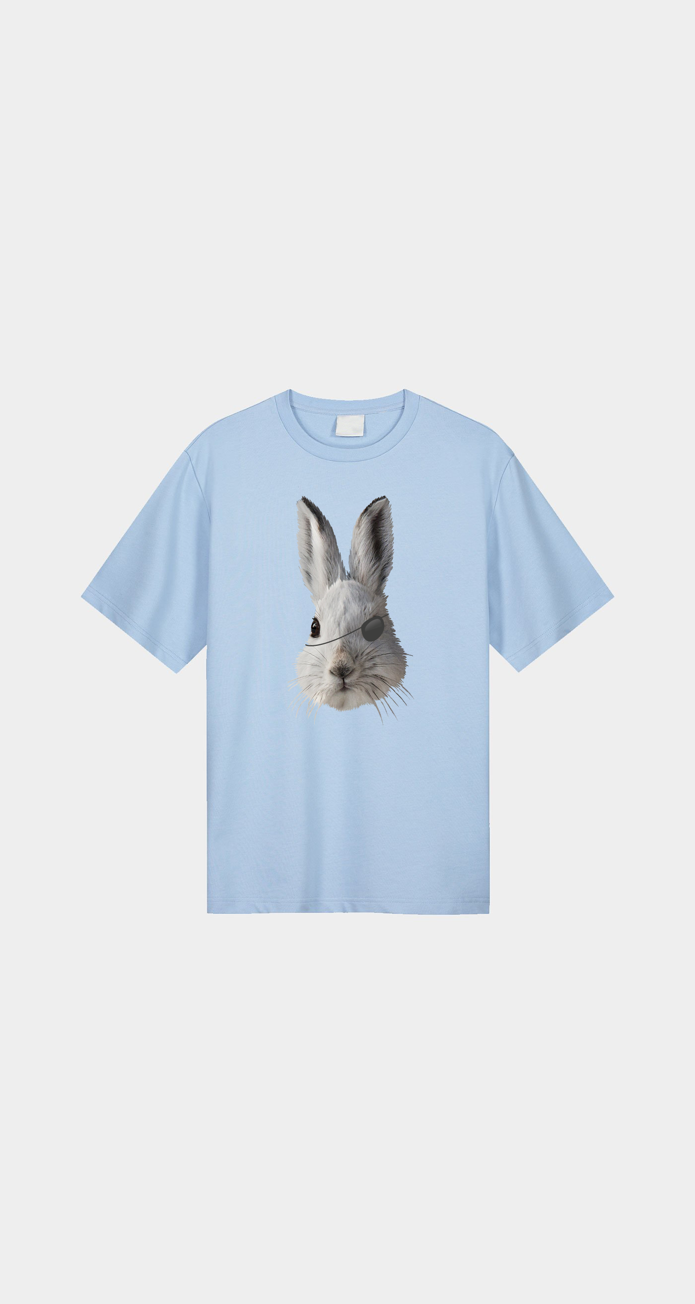Bunny pirate